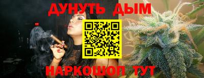 2c-b Кингисепп
