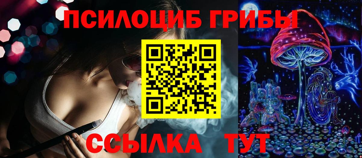 Галлюциногенные грибы Psilocybine cubensis  Вход с VPN  Елабуга 